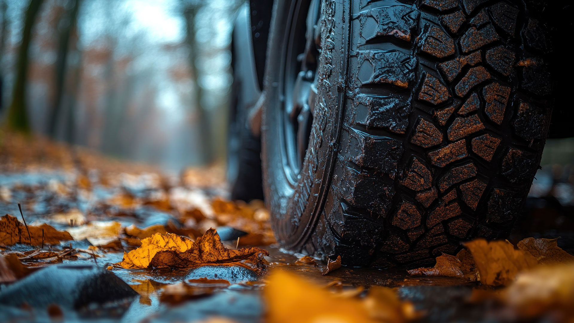 4x4 tire wet weather