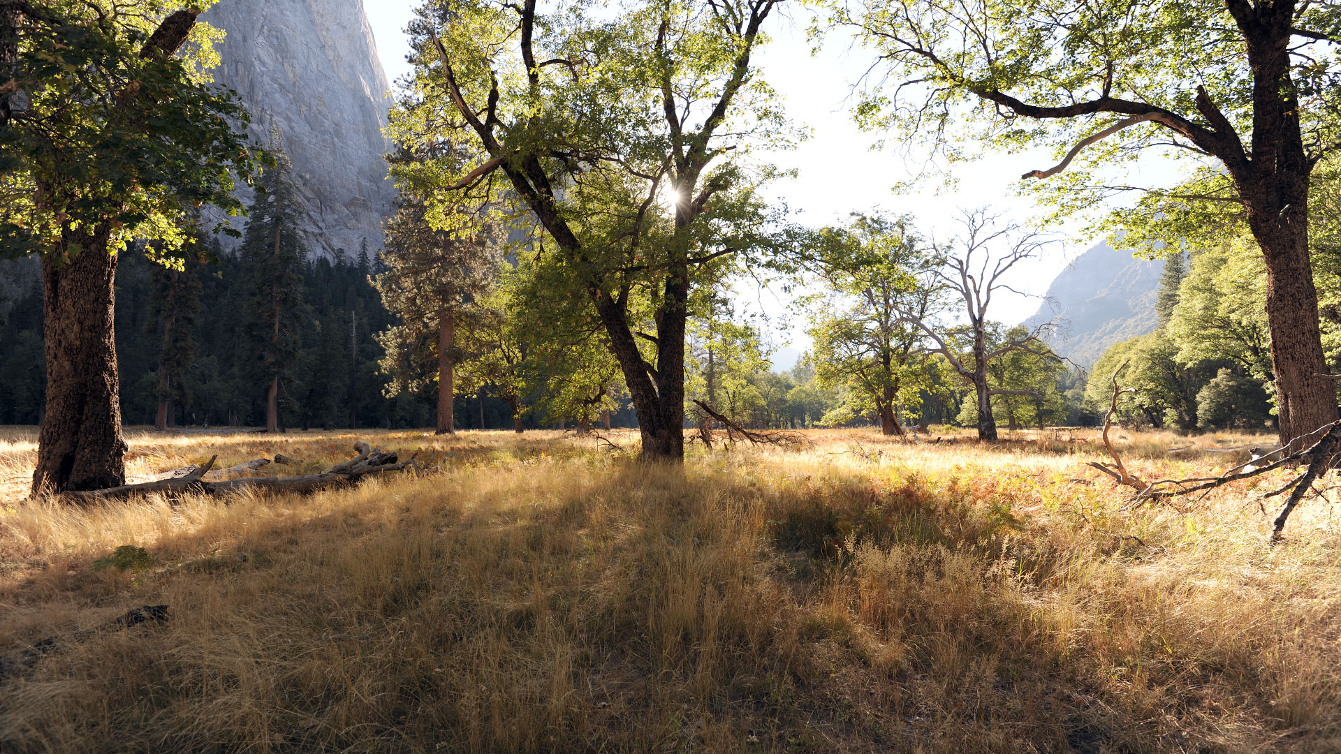 Yosemite National Park High Sierra Loop Trail